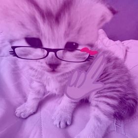 Пользователь